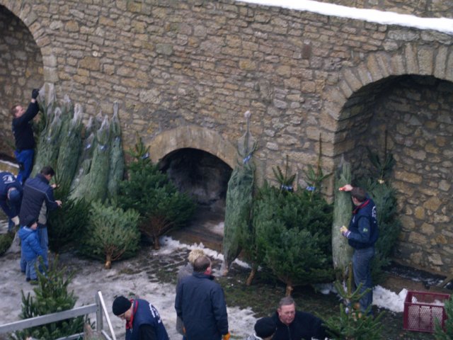 Weihnachtsbaumverkauf 2012